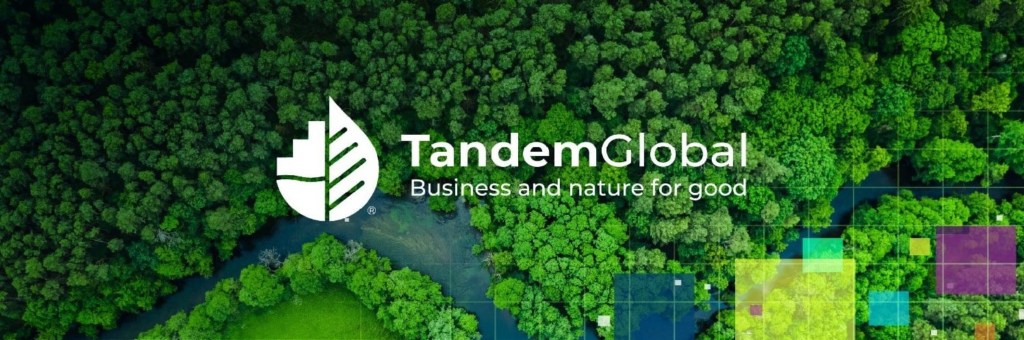 Tandem Global